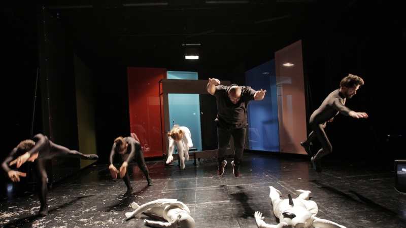 Love You Dragonfly Theater Bremen Kleines Haus Bremen