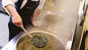 Frost bei Grünkohl unentbehrlich für guten Geschmack