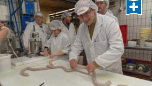 So werden Pinkel und Kochwurst gemacht