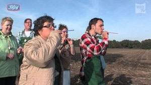 Weitere Kohlfahrtspiele