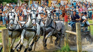 Oldenburger Landesturnier in Rastede