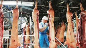 Arbeitsverhältnisse in der Fleischindustrie